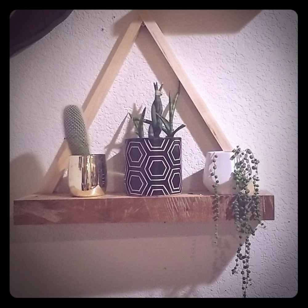 Handmade plant wall hanger